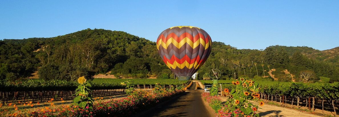 Napa Hot-Air Balloon Ride 